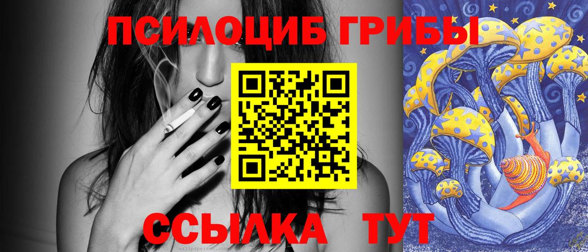 Псилоцибиновые грибы мицелий  Вход с VPN  Туапсе 